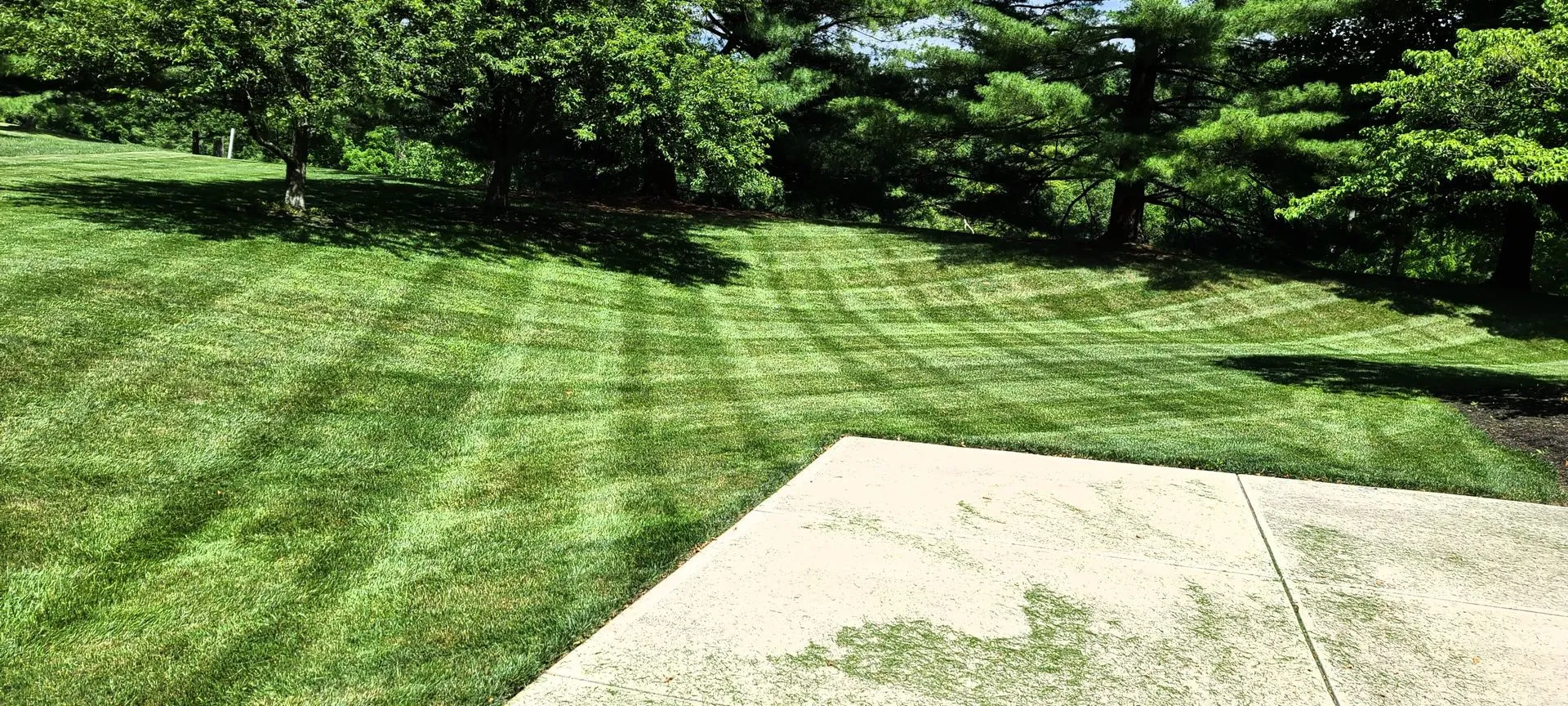 Healthy green lawn maintained by 5 Points Landscaping