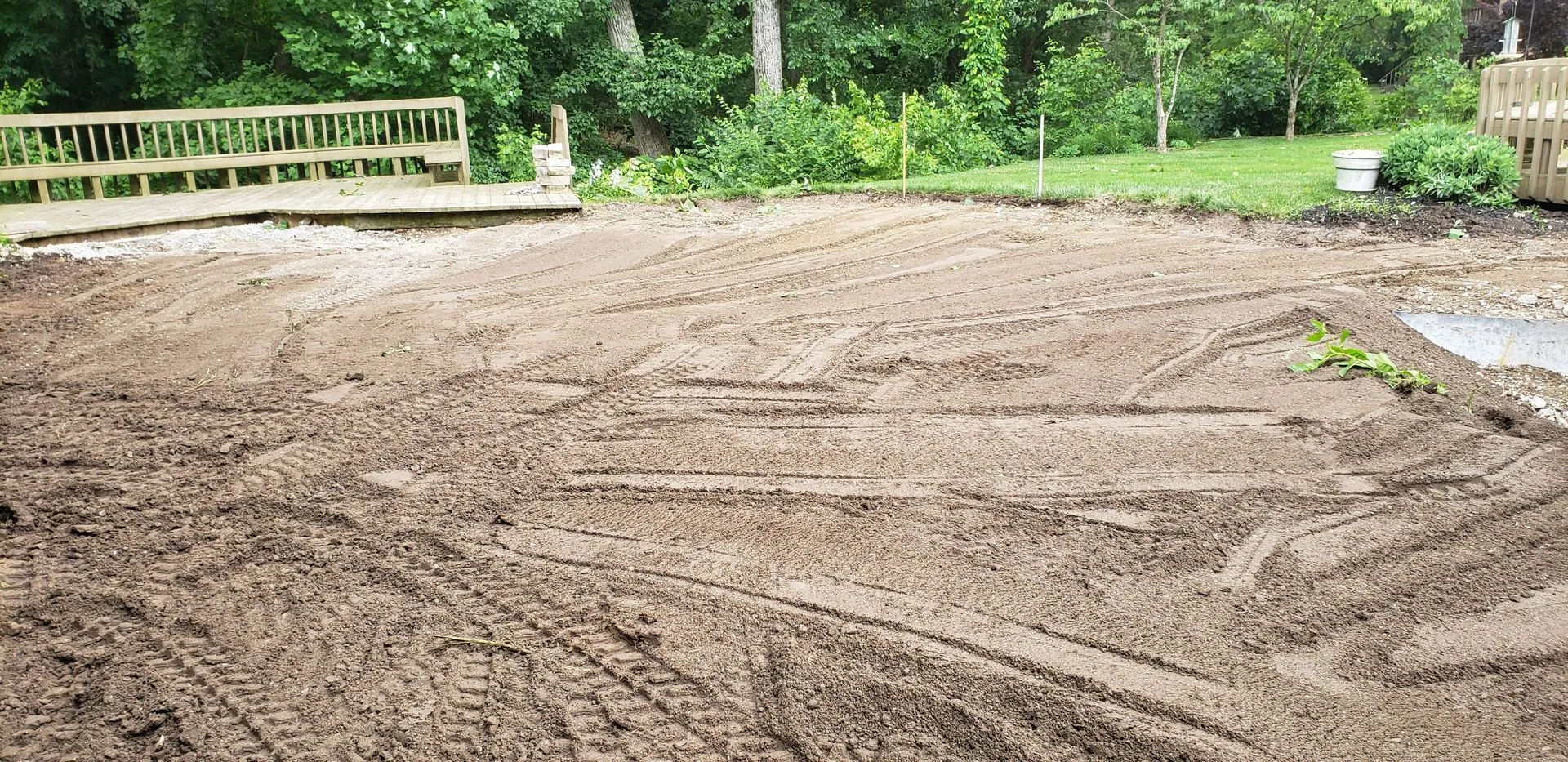 Green lawn greening up in spring after aeration and lawn care