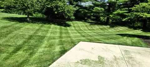 Lawn care and mowing project by 5 Points in the Dayton, OH area (photo 46)