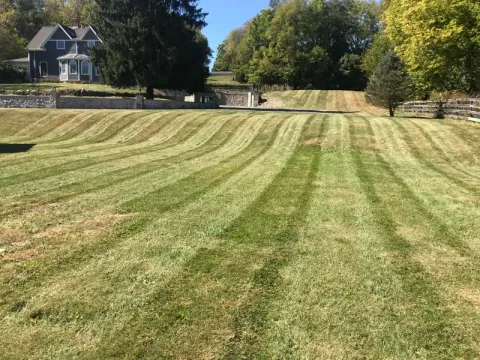 Backyard landscaping and lawn maintenance by 5 Points in the Dayton, OH area (photo 6)