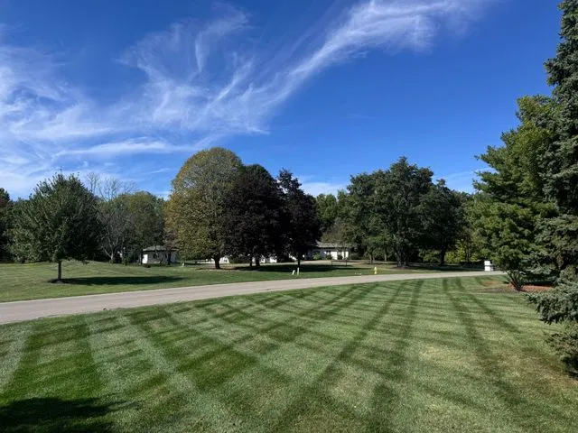 Seasonal yard cleanup and lawn care project