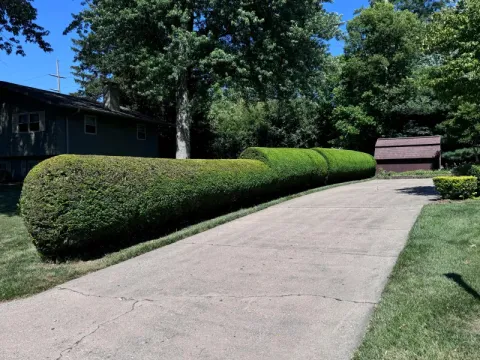 Brush hogging and field clearing by 5 Points in the Dayton, OH area (photo 41)