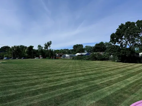 Landscape design and planting project by 5 Points in the Dayton, OH area (photo 38)