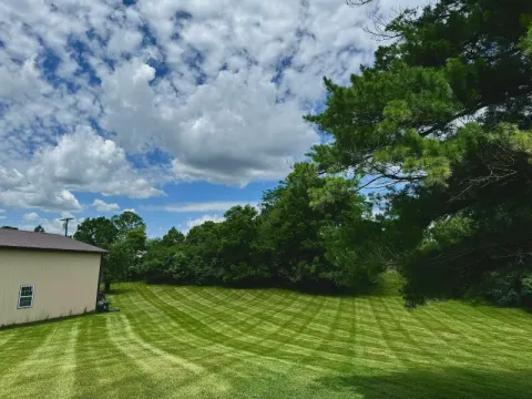 Brush hogging and field clearing by 5 Points in the Dayton, OH area (photo 14)