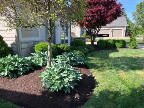 Backyard landscaping and lawn maintenance by 5 Points in the Dayton, OH area (photo 51)