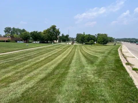 Sod and new lawn installation by 5 Points in the Dayton, OH area (photo 25)
