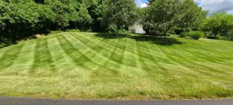 Seasonal yard cleanup project by 5 Points in the Dayton, OH area (photo 27)