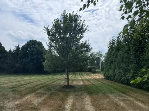 Lawn care and mowing project by 5 Points in the Dayton, OH area (photo 28)