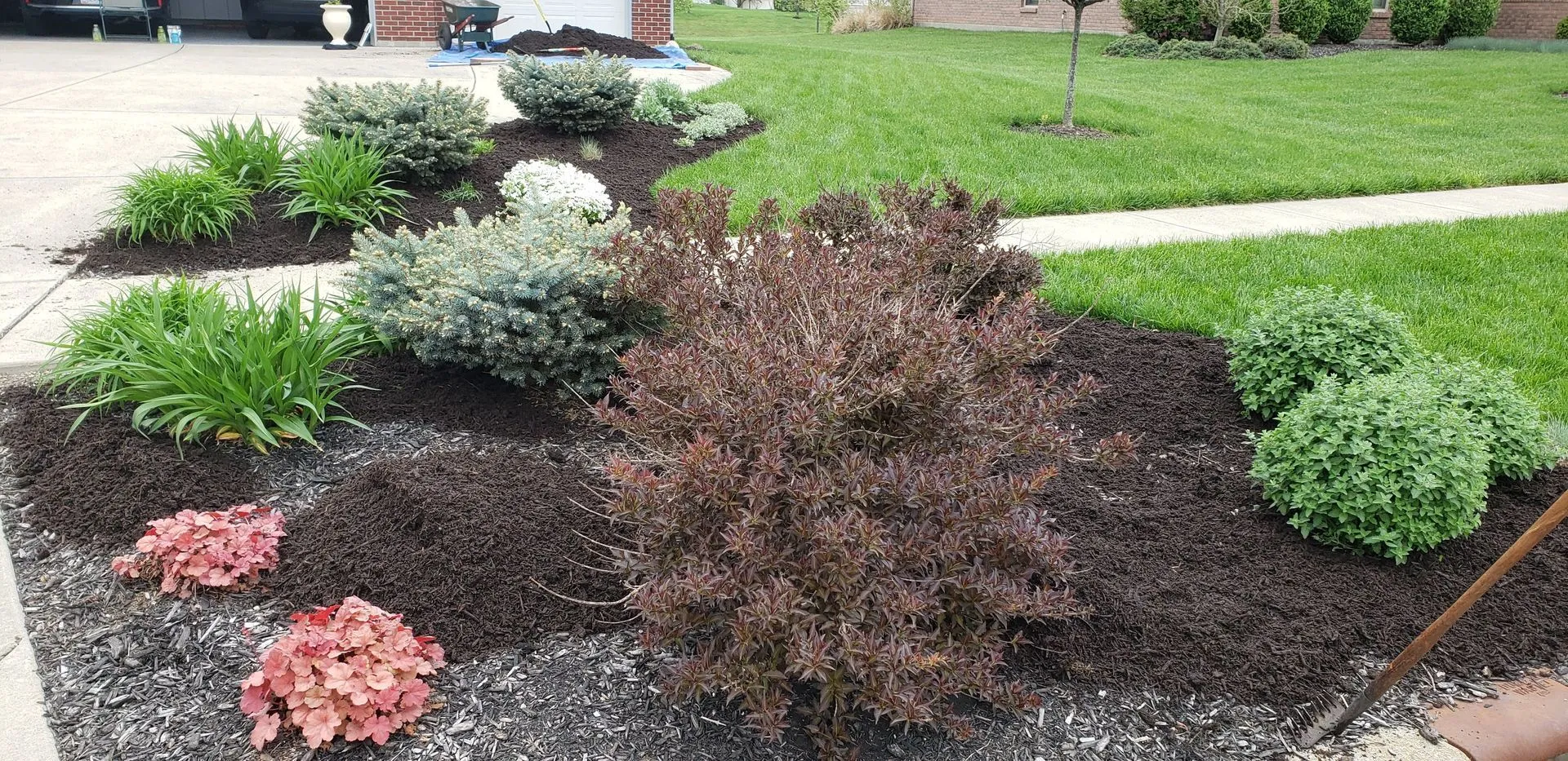 Professionally maintained commercial landscape beds by 5 Points Landscaping