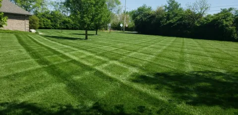 Sod and new lawn installation by 5 Points in the Dayton, OH area (photo 16)