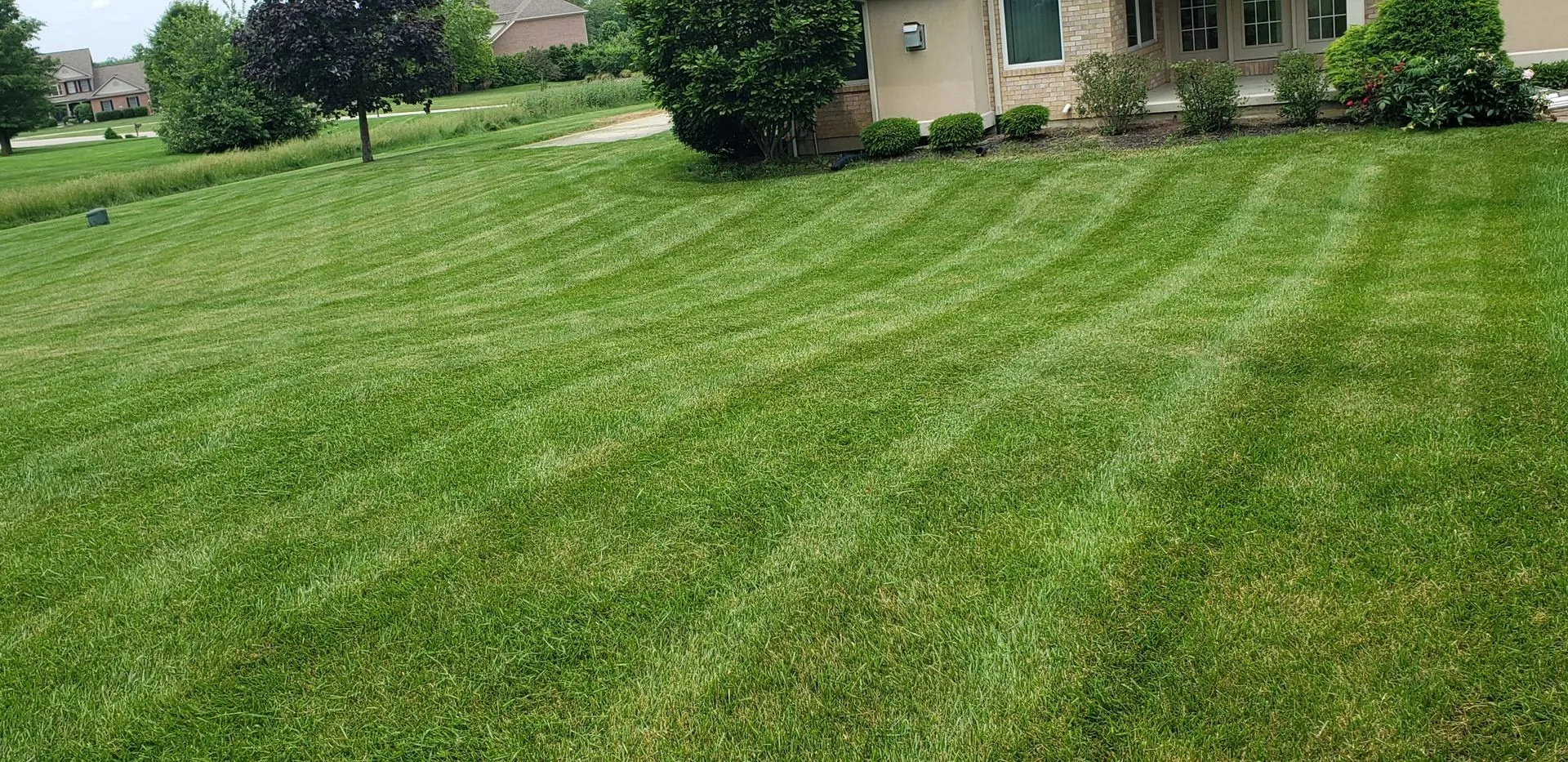 Professionally designed and manicured landscape by 5 Points Landscaping