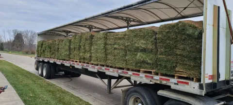 Seasonal yard cleanup project by 5 Points in the Dayton, OH area (photo 45)