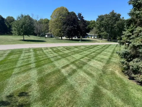 Backyard landscaping and lawn maintenance by 5 Points in the Dayton, OH area (photo 33)