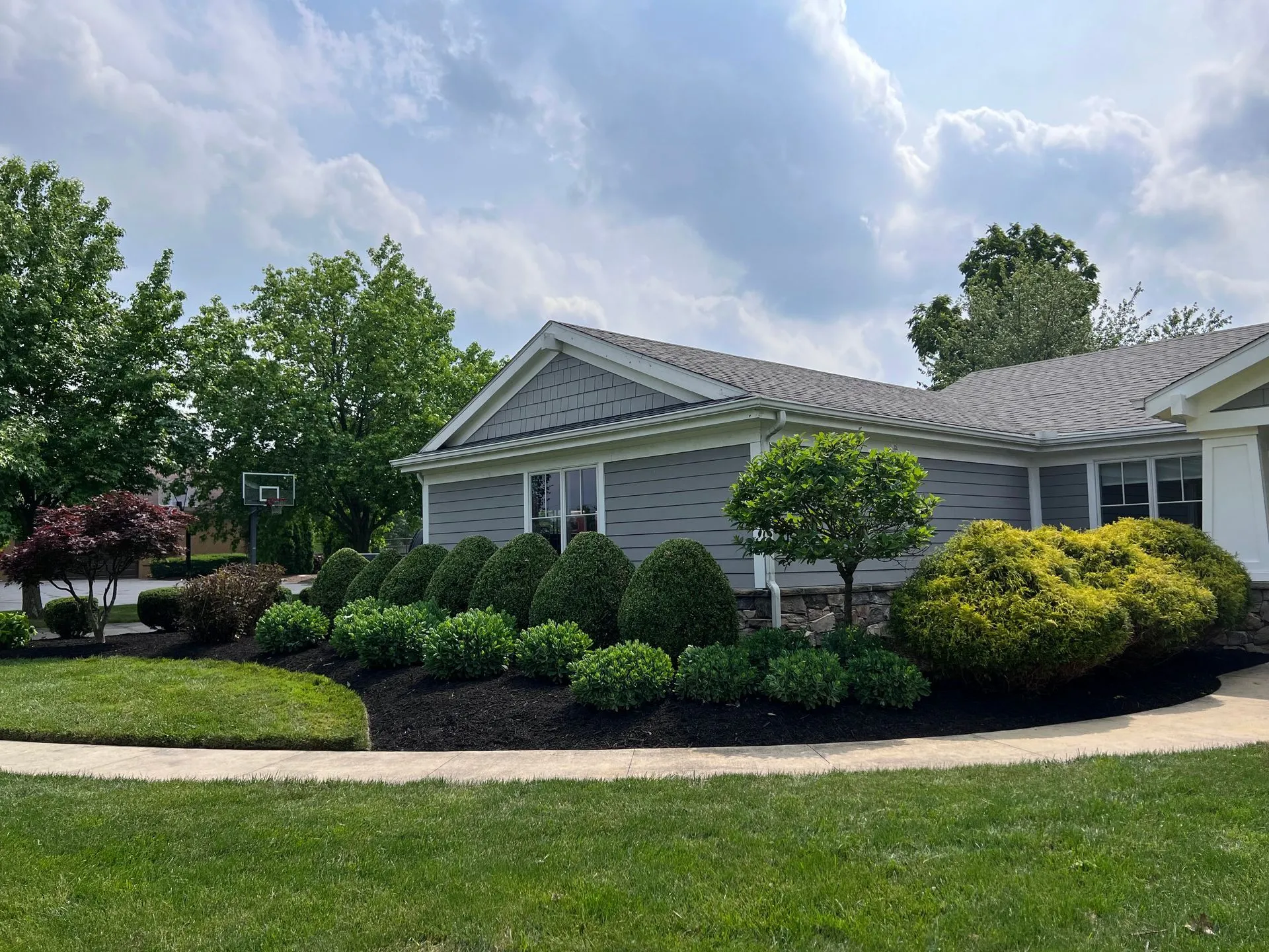 Freshly maintained green lawn by 5 Points Landscaping